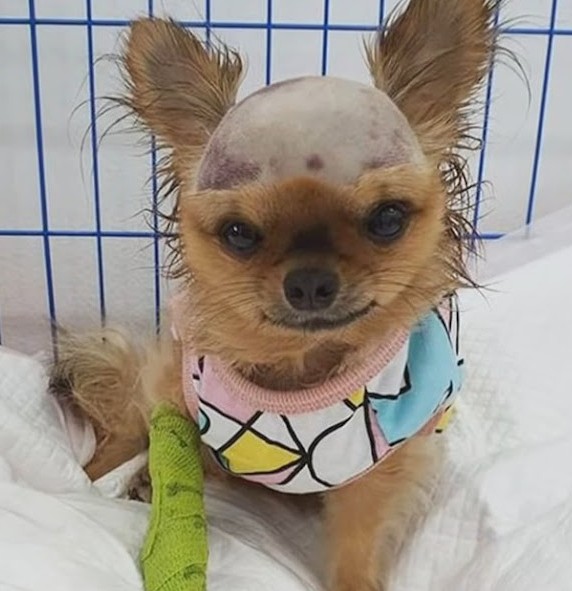 Opieka i rehabilitacja