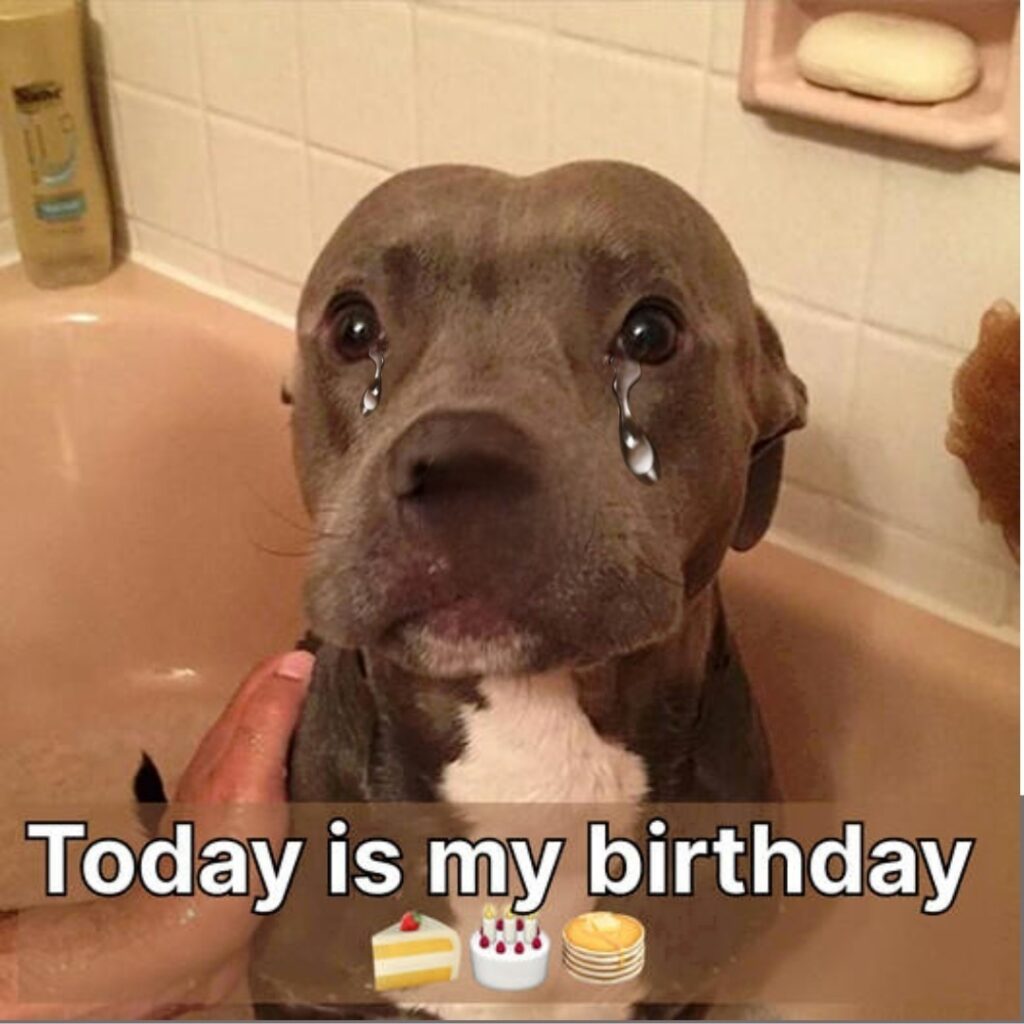 Zdjęcie powiązane 4