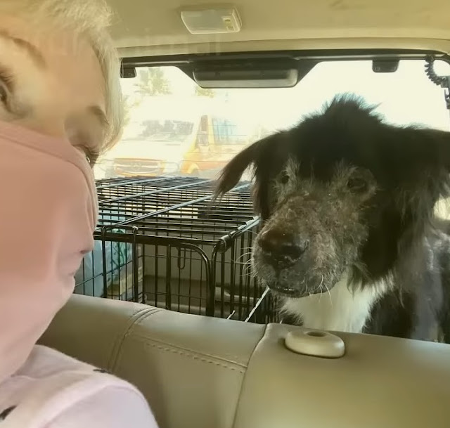 Socrates na spacerze