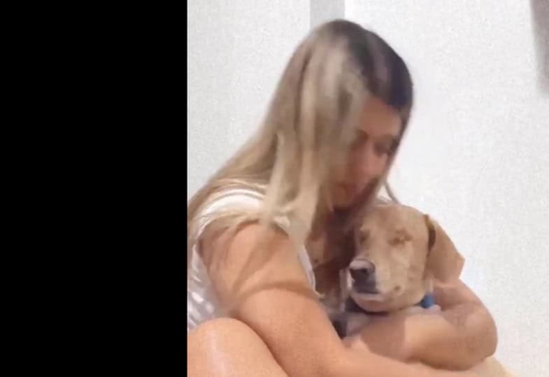 Benki gotowy do adopcji