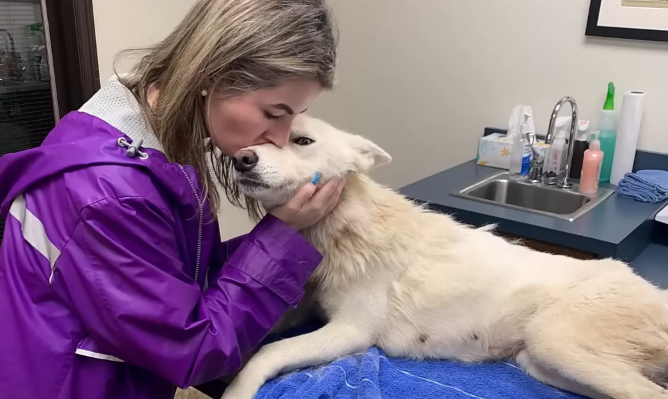 reakcje w internecie