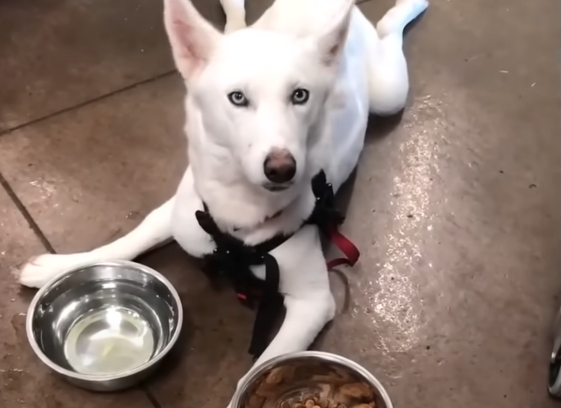 komentarze o surowszych przepisach