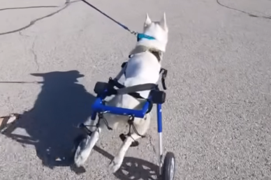 nadzieja na dom pełen miłości