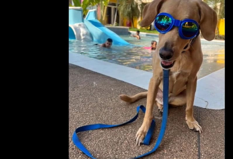 Benki po rehabilitacji