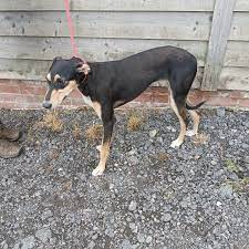 Społeczność reaguje