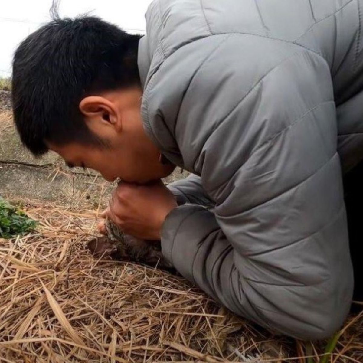 man giving mouth-to-mouth to puppy