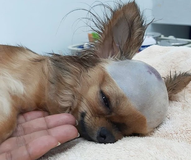 Pierwsze oznaki poprawy