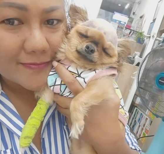 Dodatkowe zdjęcie 1