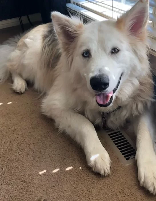 Artie uśmiechnięty