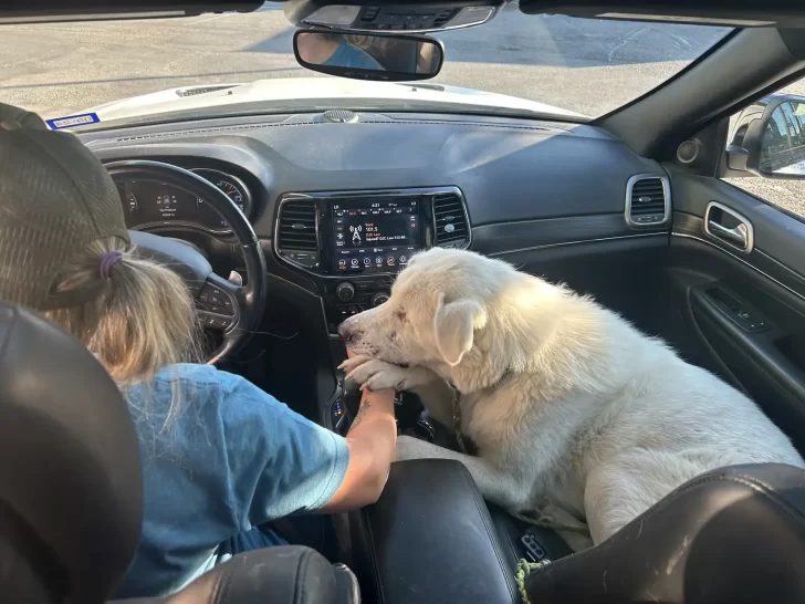 Spinach w nowym domu