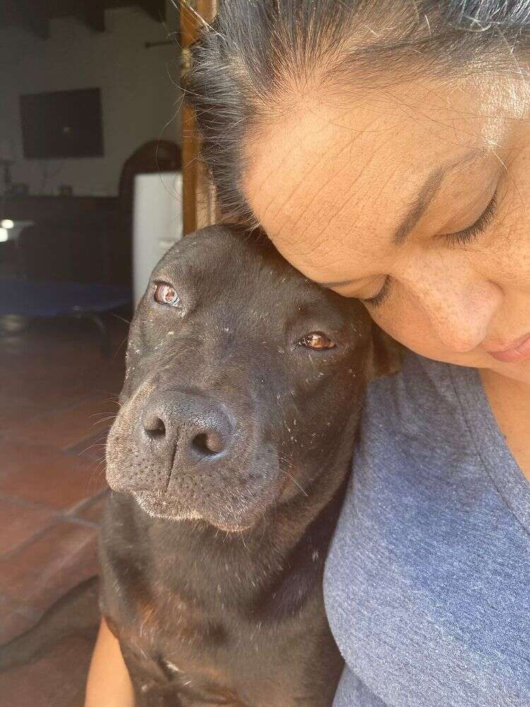 Poppy przy nowych opiekunach