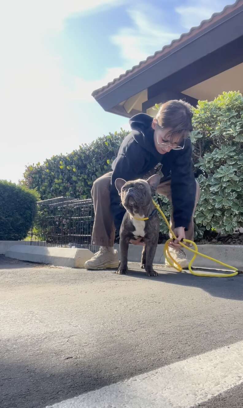 собака после спасения