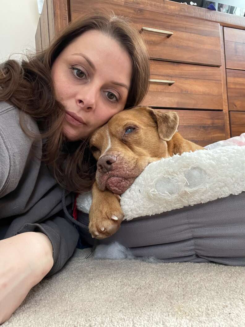 Stevie gotowy do adopcji