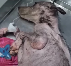 Angela podczas rehabilitacji