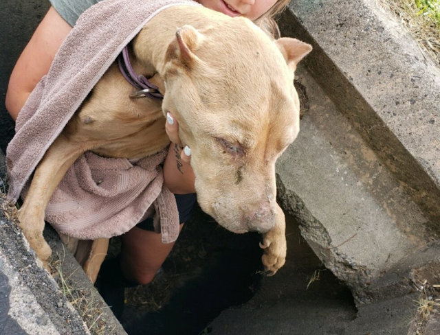 Ratownicy przy studzience