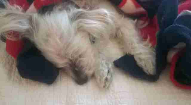 Pielęgnacja podczas leczenia