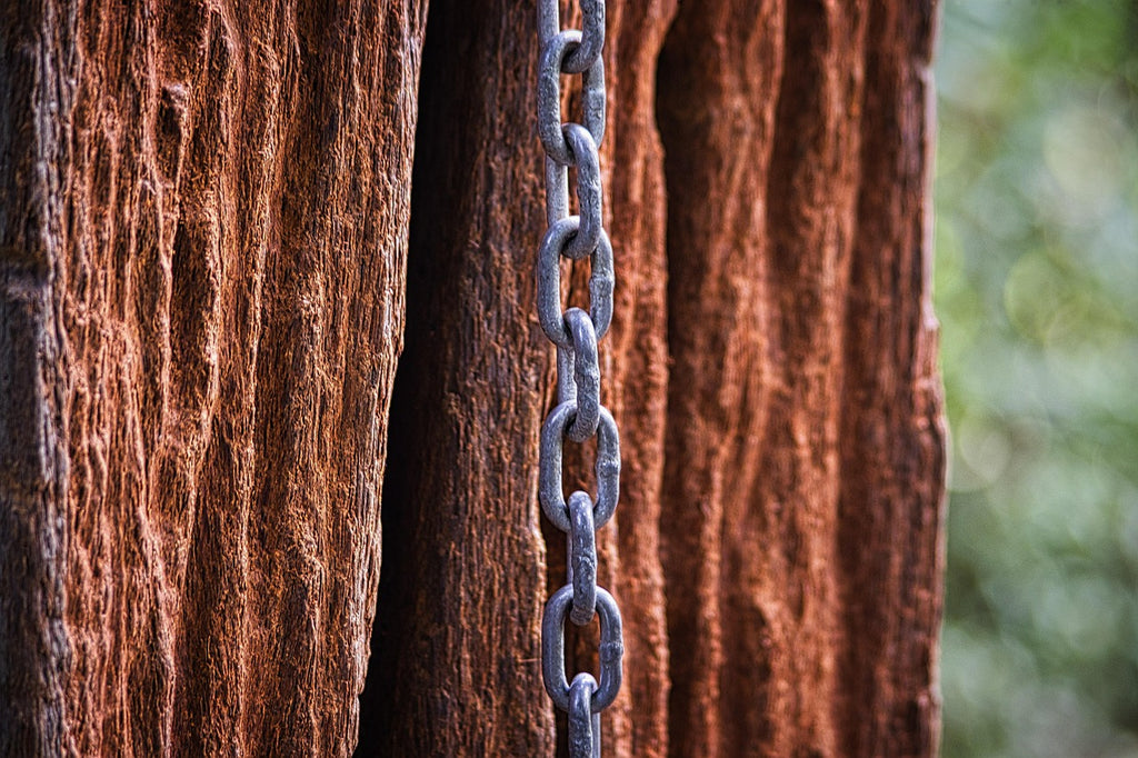 łańcuch przy drzewie