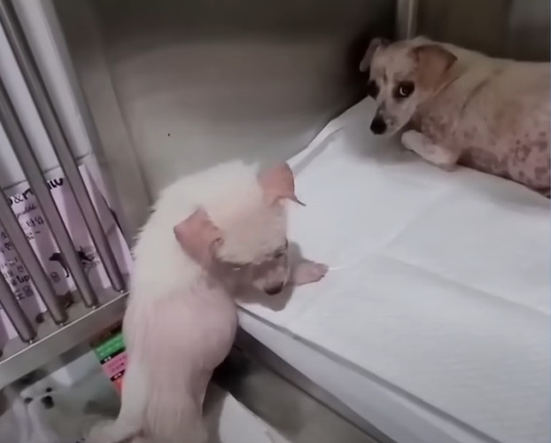 Szczęśliwe zakończenie