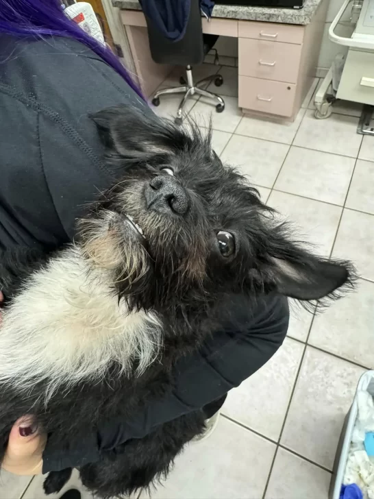 Tulum w trakcie leczenia