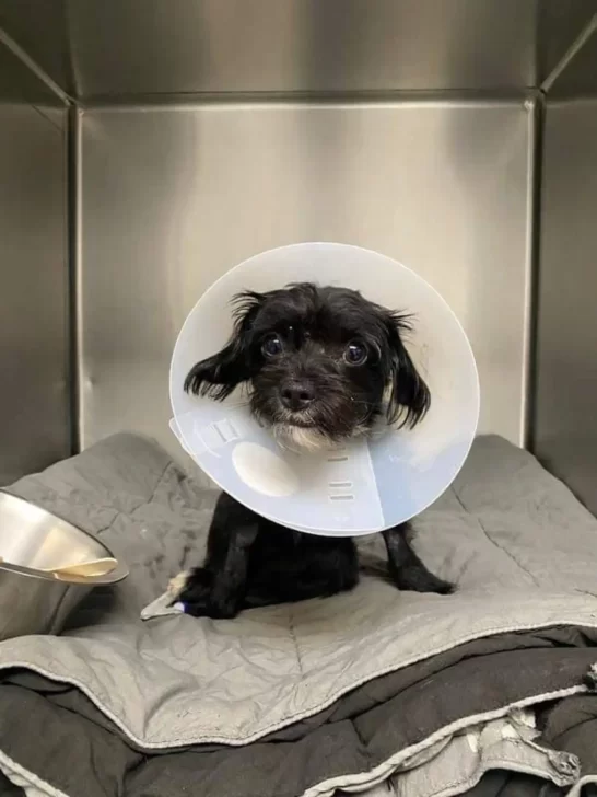 Tulum po rehabilitacji