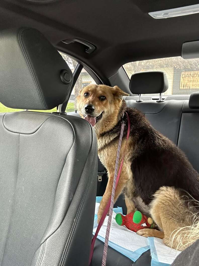 Nikki w czasie przechwycenia