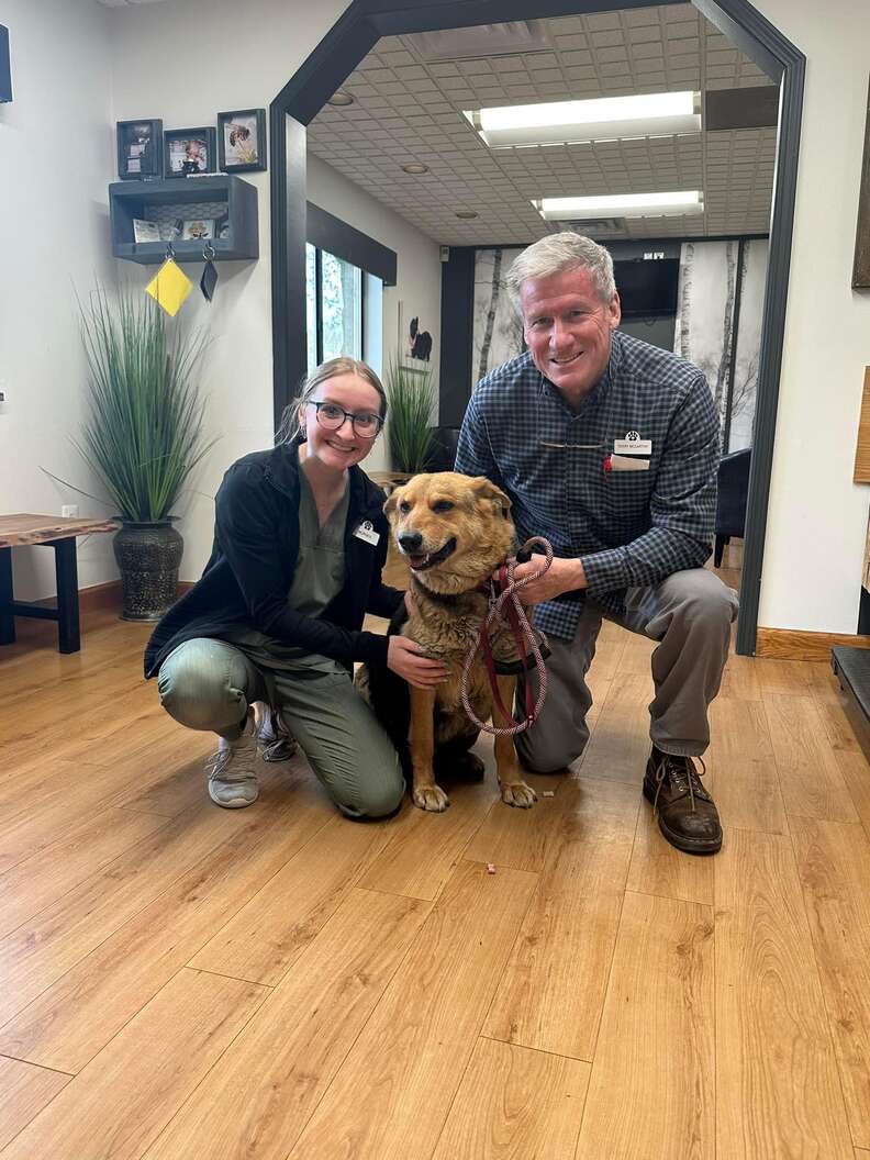 Nikki w nowym domu tymczasowym