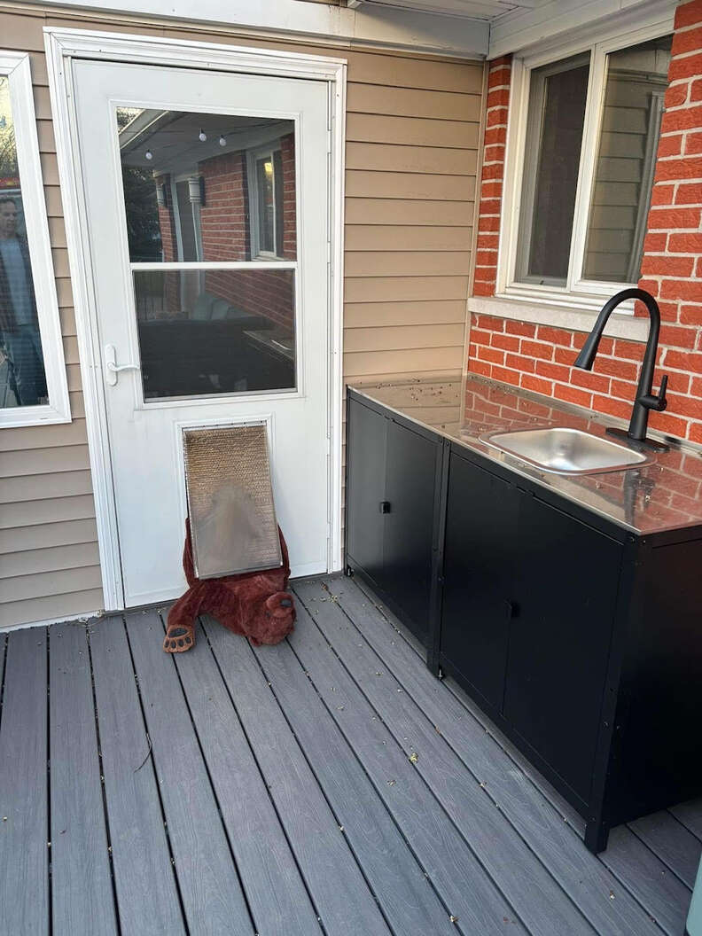 Zabawka utknęła w drzwiach dla psa