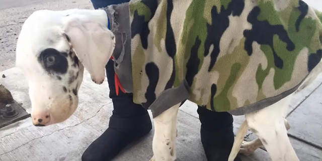 Sanzón wraca do zdrowia