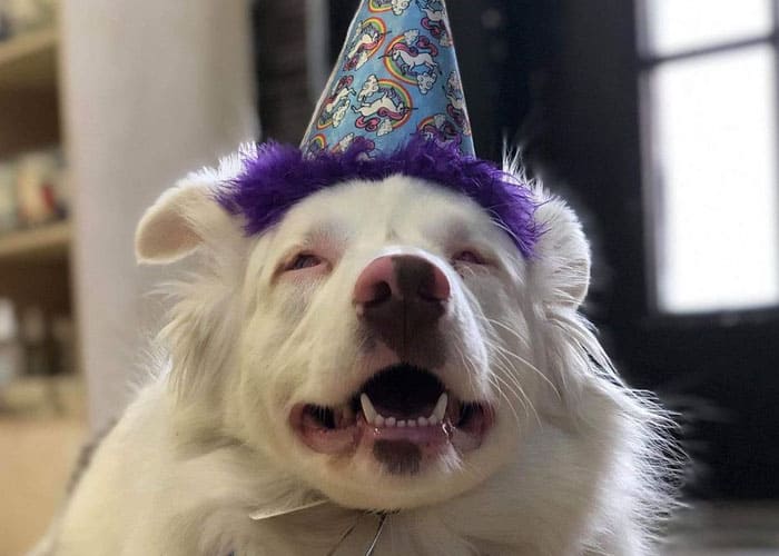 Bitsy mit ihrer Familie